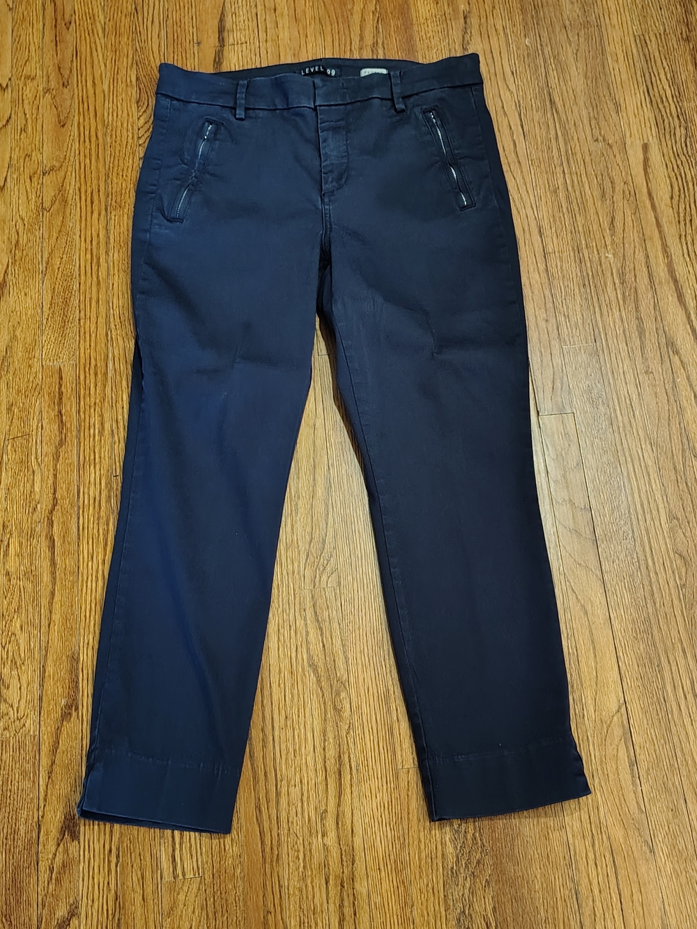 Level 99 Navy Slim Cropped Pants